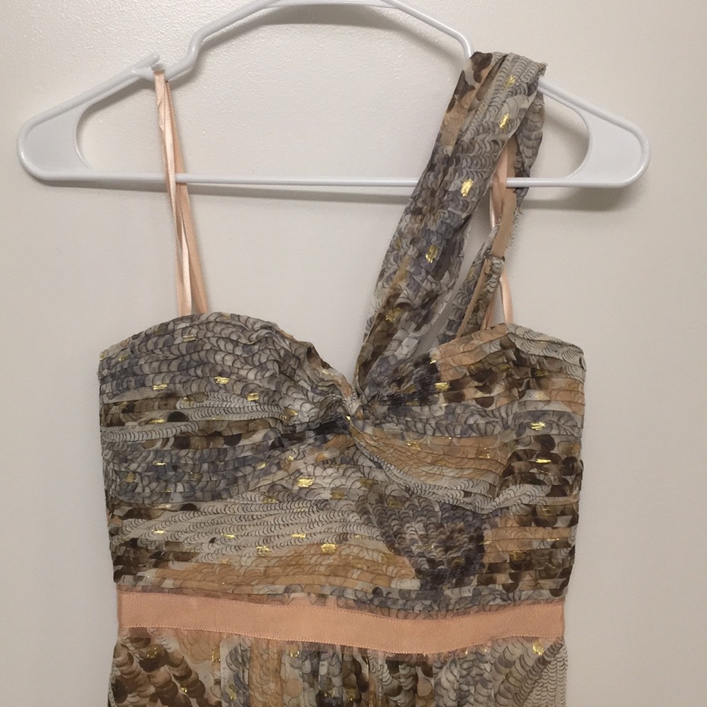 Peach Silk BCBG Gown